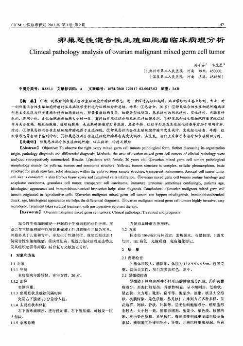 卵巢恶性混合性生殖细胞瘤临床病理分析