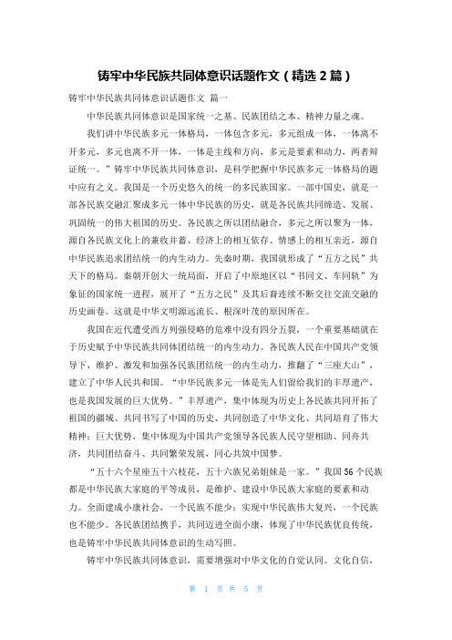 铸牢中华民族共同体意识话题作文(精选2篇)