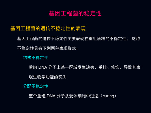 微生物工程基因工程菌的培养