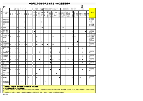 工作场所个人防护用品评估表