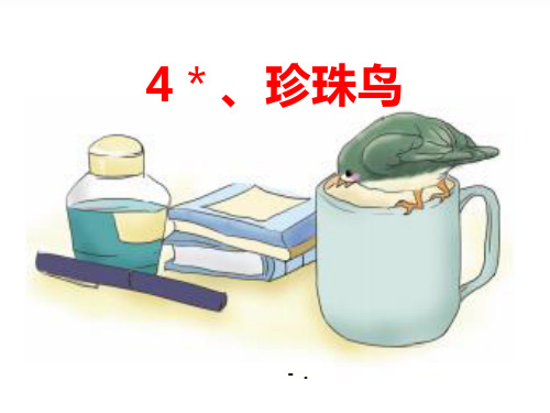 《珍珠鸟》PPT优秀教学课件