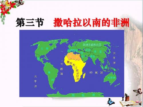 《撒哈拉以南非洲》东半球其他的地区和国家PPT教学课件6