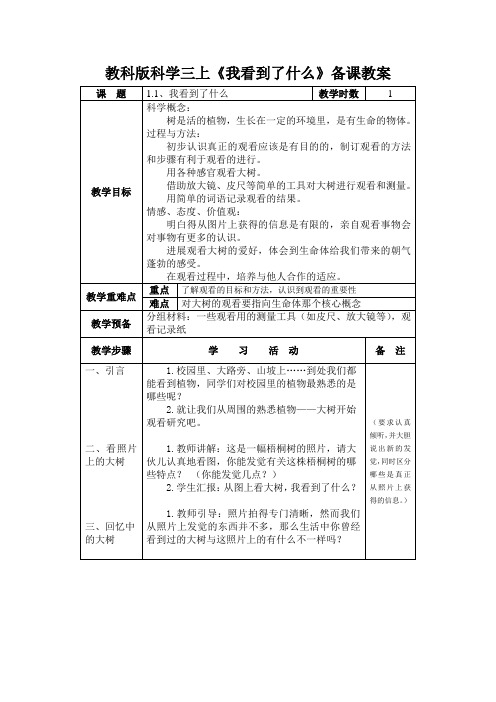 教科版科学三上《我看到了什么》备课教案