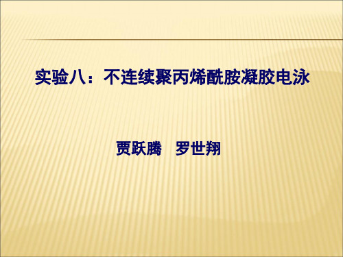 【课件】实验八不连续聚丙烯酰胺凝胶电泳ppt