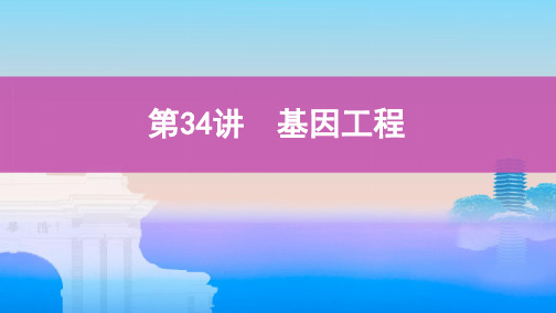 2020版高考浙江选考生物一轮课件：第34讲 基因工程 