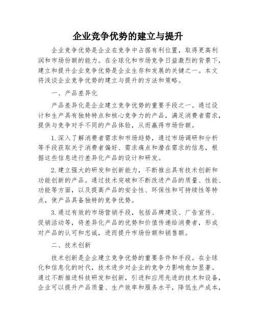 企业竞争优势的建立与提升