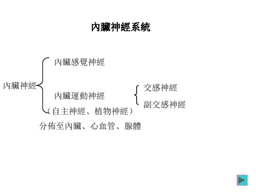 内脏神经系统 PPT课件