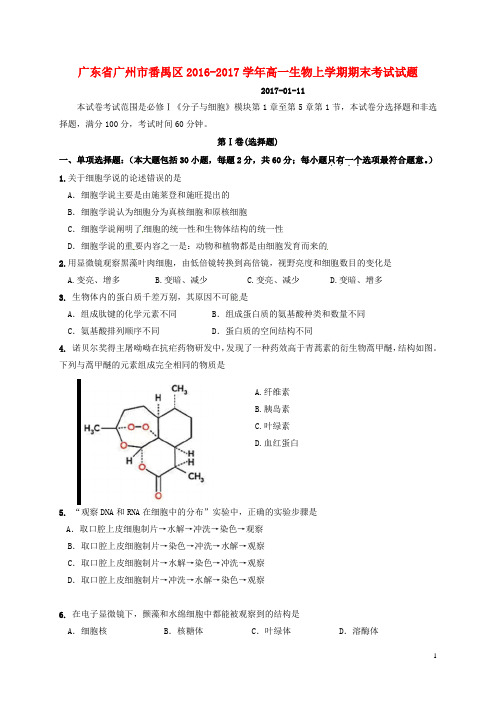 番禺2016_2017高一生物上学期期末考试试