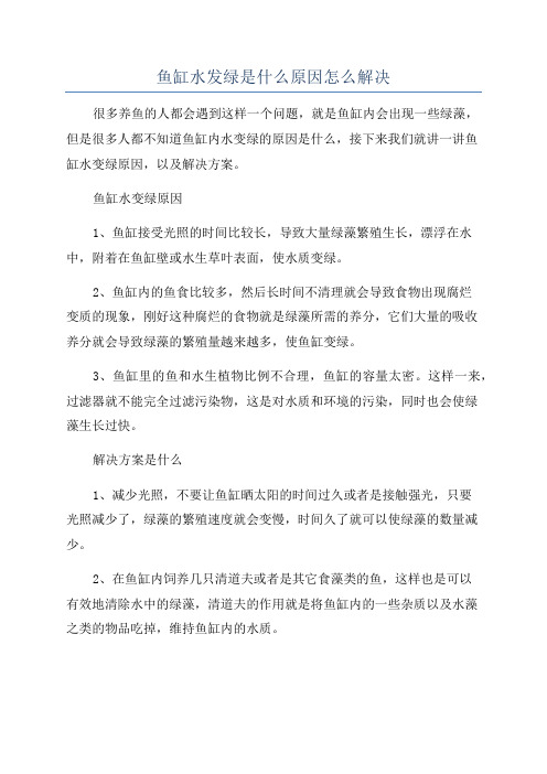 鱼缸水发绿是什么原因怎么解决