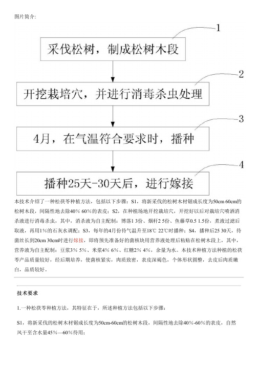 松茯苓种植方法与相关技术