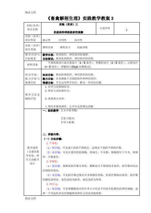 最新畜禽解剖生理实践教学教案3--肌组织和神经组织的观察