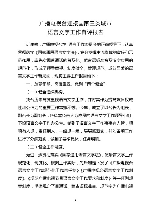 广播电视台国家三类城市语言文字工作自评报告