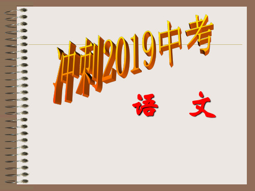 公开课:2019中考语文考点及解题技巧
