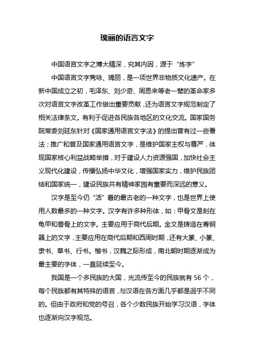 《我与语言文字规范标准》