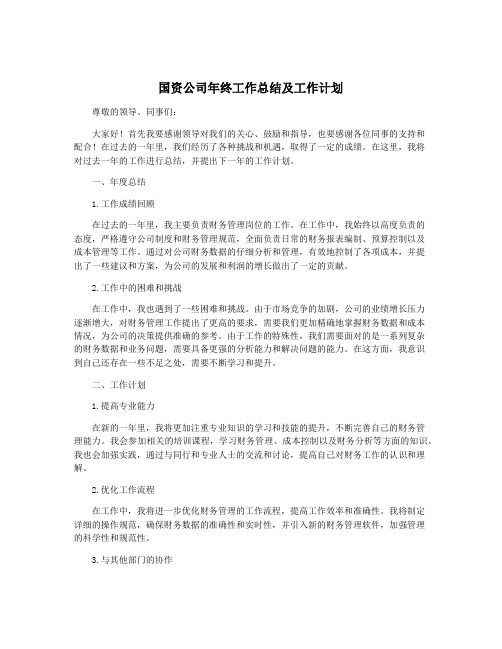 国资公司年终工作总结及工作计划