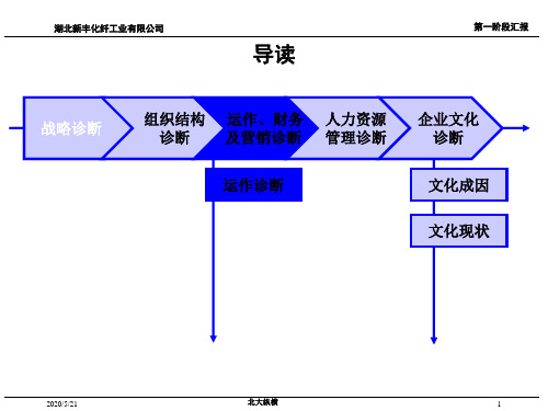 新丰管理诊断报告共50页