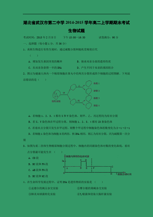 武汉市第二中学2014-2015学年高二上学期期末生物试题及答案考试