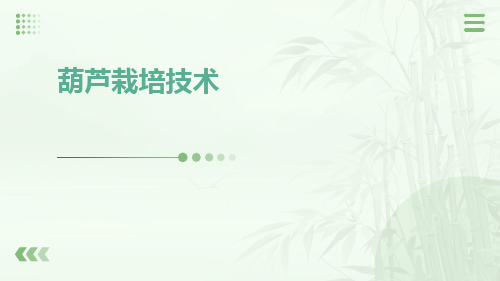 葫芦栽培技术