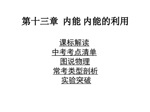 2016年人教版中考物理复习13.第十三章内能的利用