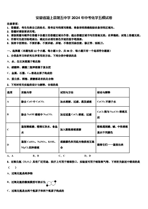 安徽省颍上县第五中学2024届中考化学五模试卷含解析