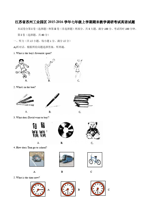 江苏省苏州工业园区2015-2016学年七年级上学期期末教学调研考试英语试题解析(解析版)