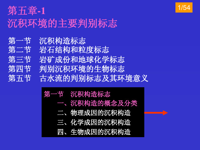 第五章 沉积环境的主要判别标志(1-2)