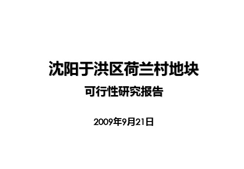 090921沈阳荷兰村前期定位报告