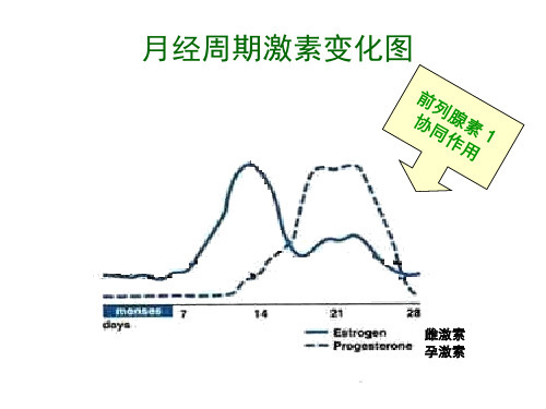 女性生理周期讲解说明