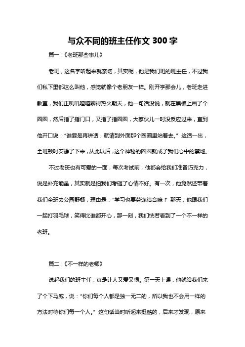 与众不同的班主任作文300字