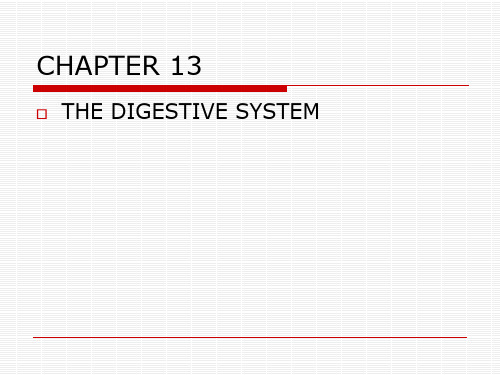 chapter 13 消化系统