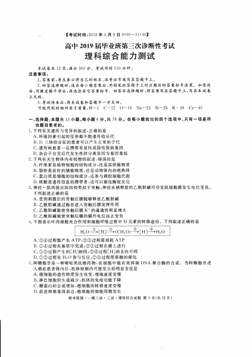 四川省教考联盟2019届高三第三次诊断性考试理科综合试题(含答案)