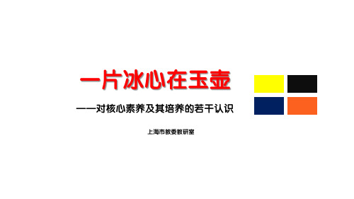 精品讲座课件：核心素养及其培养(2020核心素养讨论稿  64页PPT)