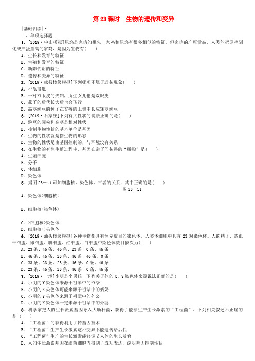 2018年中考生物：第23课时-生物的遗传和变异课时作业(含答案)