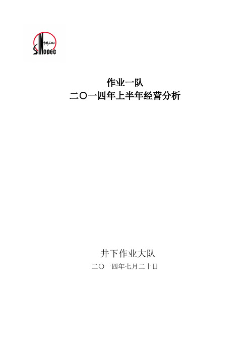 2014上半年经营分析资料