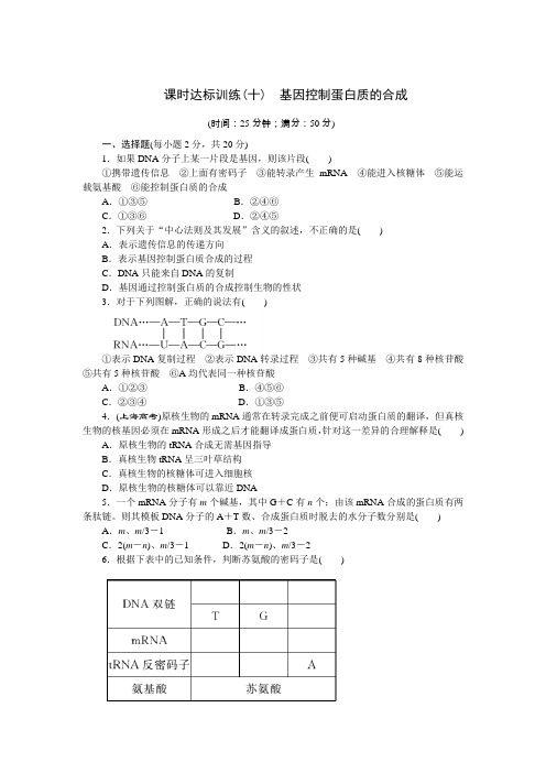 2019届高中生物(苏教版)创新必修2课时达标训练第四章第三节基因控制蛋白质的合成Word版含解析