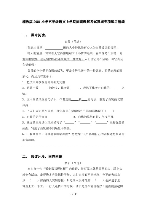 湘教版2021小学五年级语文上学期阅读理解考试巩固专项练习精编