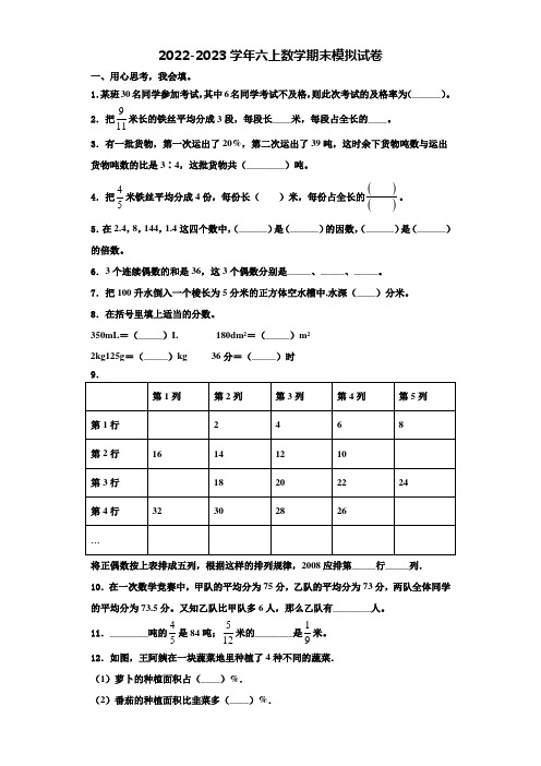 2023届四川省凉山彝族自治州普格县数学六上期末联考模拟试题含解析