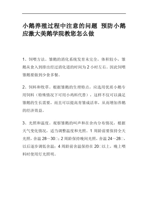 小鹅养殖过程中注意的问题 预防小鹅应激大美鹅学院教您怎么做