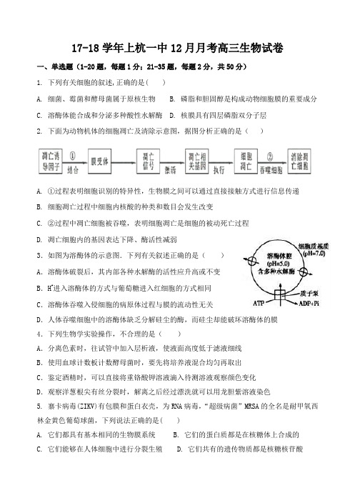 17-18学年上杭一中12月月考高三生物试卷