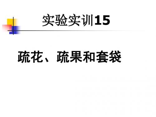 实验实训15疏花、疏果和套袋