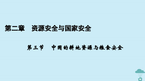 2023年高中地理第2章资源安全与国家安全第3节中国的耕地资源与粮食安全课件新人教版选择性必修3