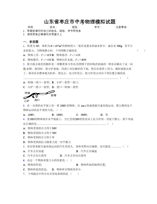 最新山东省枣庄市中考物理模拟试题及解析