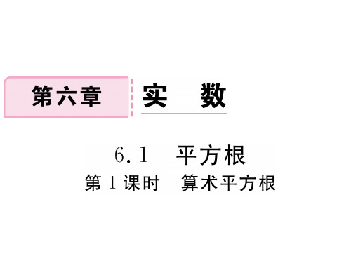 人教版初中数学实数_完美课件1