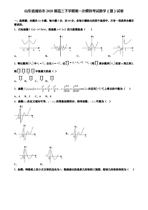 【附15套精选模拟试卷】山东省潍坊市2020届高三下学期第一次模拟考试数学(理)试卷含解析