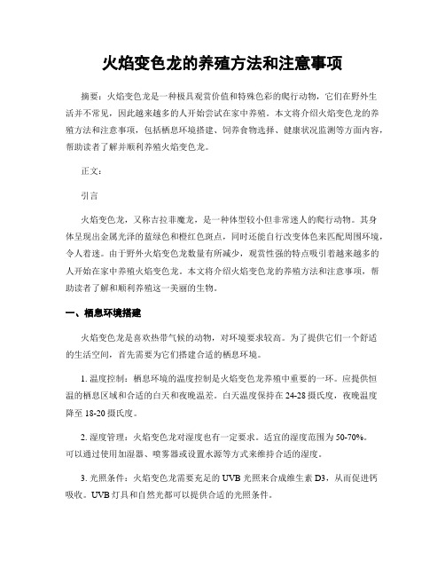 火焰变色龙的养殖方法和注意事项