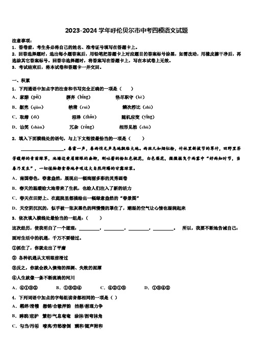 2023-2024学年呼伦贝尔市中考四模语文试题含解析