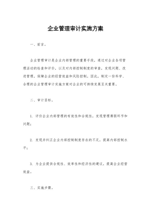 企业管理审计实施方案