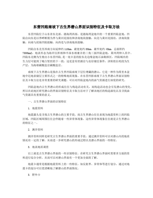 东营凹陷南坡下古生界潜山界面识别特征及卡取方法