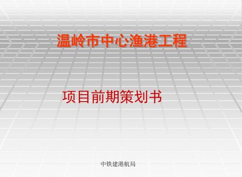 温岭中心鱼港防波堤工程策划1