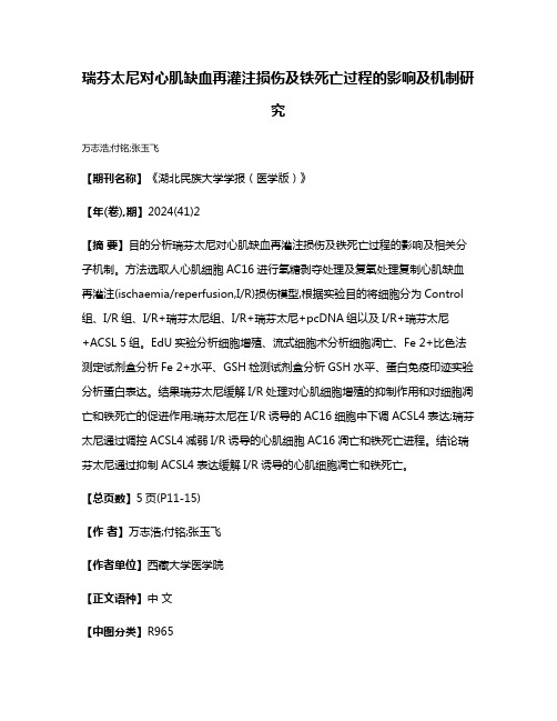 瑞芬太尼对心肌缺血再灌注损伤及铁死亡过程的影响及机制研究